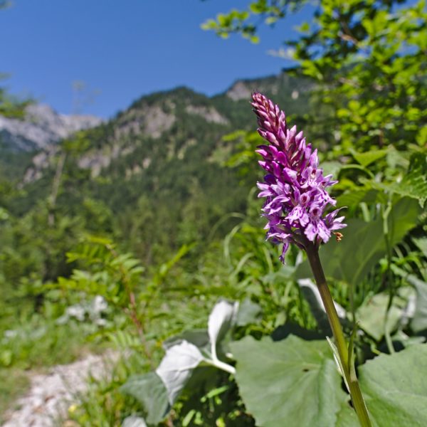 Naturfotografie Seite 2 Foto Maximini