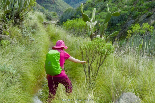 Teneriffa – Wegfindung im Barranco de Valle Luis