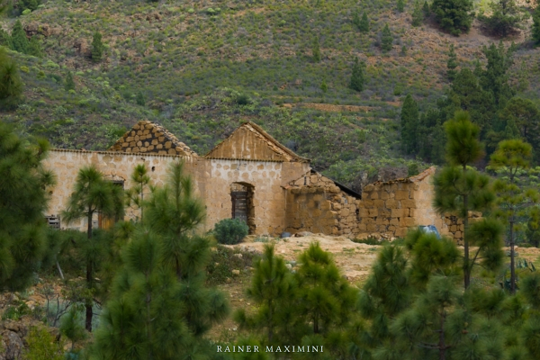 Teneriffa – Wanderung um den Barranco del Rio (Teil 1)